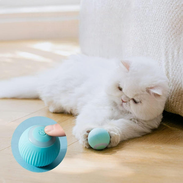 Rotating Cat Toy Ball, Interactive Cat Toys Rechargeable Rotating Ball with LED -  Store_name 