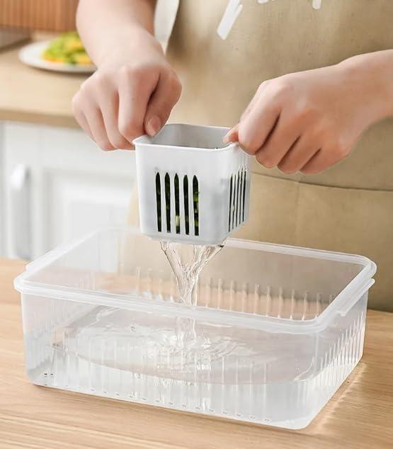 Freezer Storage Containers for Kitchen -  Store_name 