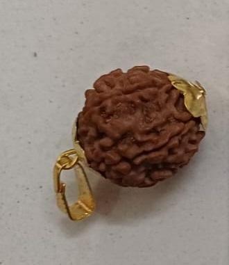 7 Mukhi Rudraksha With Cap -  Store_name 