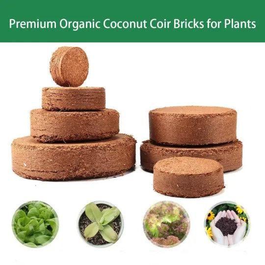 Organic Coconut Coir for Plants Pack of 2 -  Store_name 