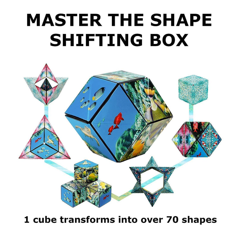 Magnetic Shape Shifting Box -  Store_name 