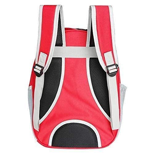 Pet Cat Carrying Bag Space Pet Backpacks Breathable Portable Transparent -  Store_name 