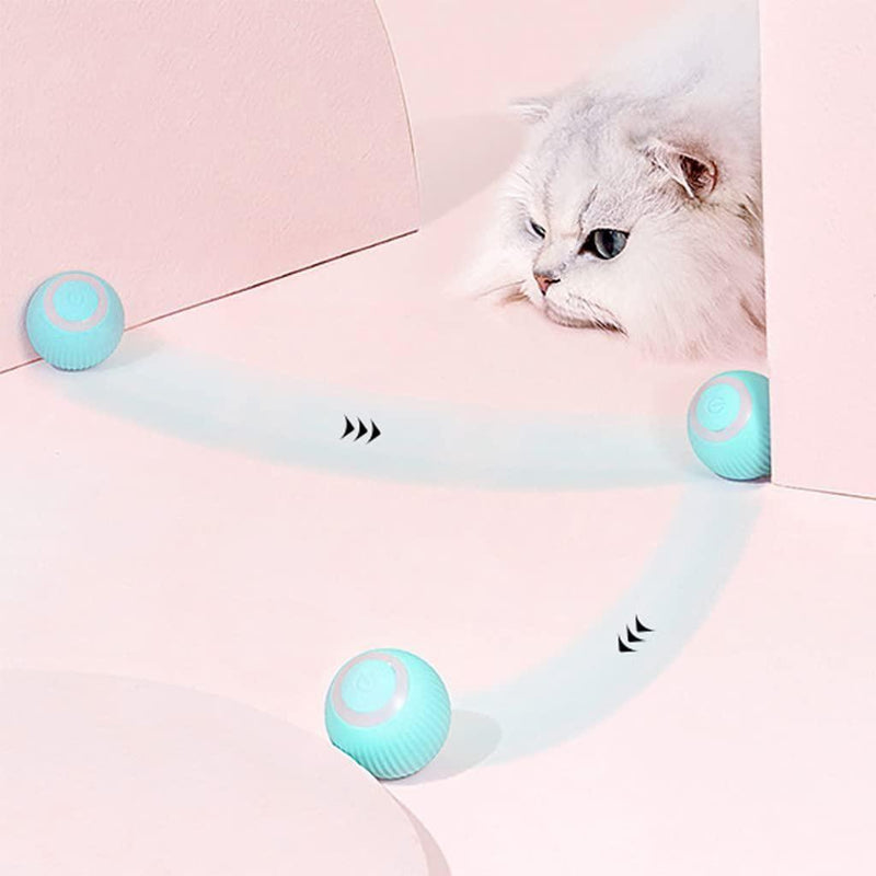 Rotating Cat Toy Ball, Interactive Cat Toys Rechargeable Rotating Ball with LED -  Store_name 