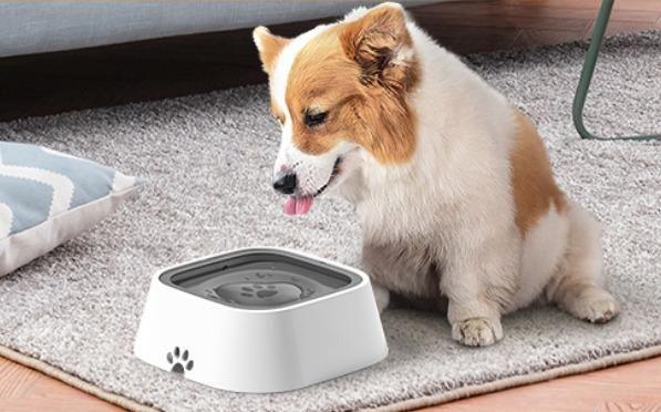 Pet Bowl Floating Anti- Overflow -  Store_name 