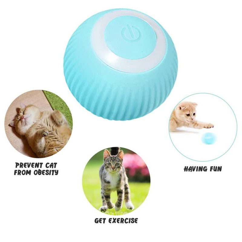 Rotating Cat Toy Ball, Interactive Cat Toys Rechargeable Rotating Ball with LED -  Store_name 