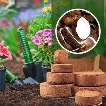 Organic Coconut Coir for Plants Pack of 2 -  Store_name 