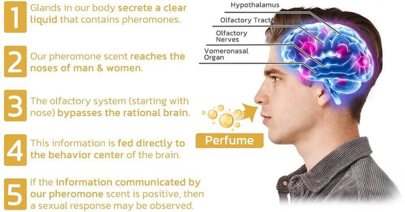 Scientifically Verified and Proven Effective Dopamine Ring -  Store_name 