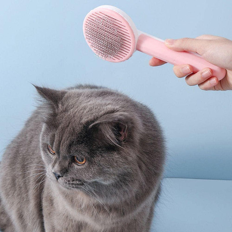 Pet Hair Removal Brush -  Store_name 