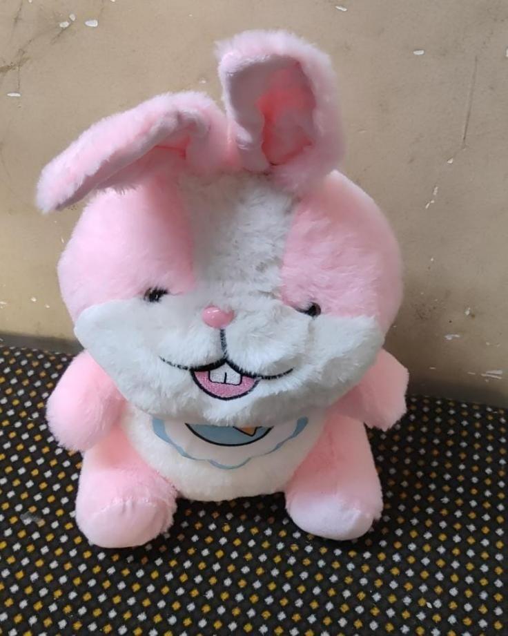 Funny Stuffed Bunny Plush Rabbit Soft Toy -  Store_name 