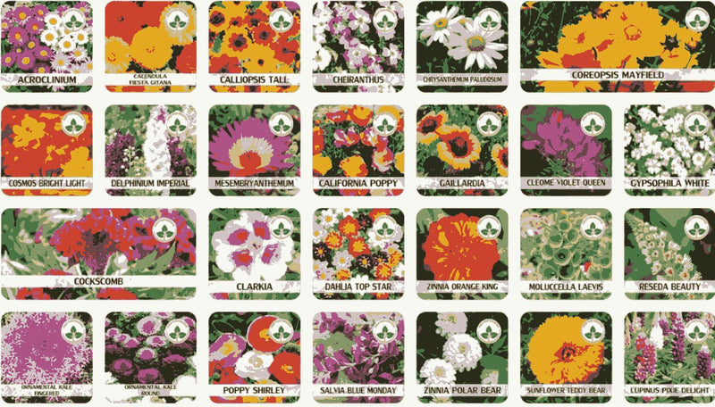 Buy Varieties of Flower Seeds (Pack of 100) And Get Plant Growth Supplement Free -  Store_name 